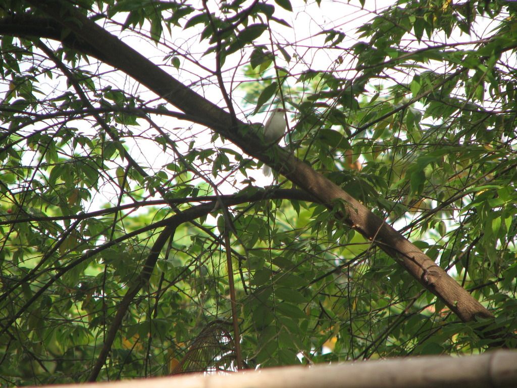 IMG_0198.jpg